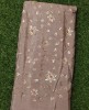 Light Brown Chiffon Chinnon work Fabric