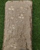 Semi Chinnon Work Light Brown Chiffon