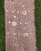 Semi Chinnon Work Brown Chiffon Fabric