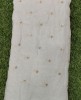 White Georgette With Georgette Butti Work