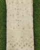 White Lakhnavi Fabric With Geo Lakhnavi Panel Work