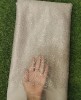 Off White Net Fabric With Net Wok