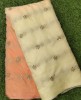Multi Color Organza With Astonishing Organza Butti Work